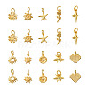 Craftdady 20Pcs 10 Style Brass Charms KK-CD0001-24-11