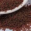 MIYUKI Round Rocailles Beads X-SEED-G009-RR0301-1