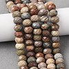 Natural Alashan Agate Beads Strands G-B179-A03-6x8mm-1