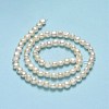 Natural Cultured Freshwater Pearl Beads Strands PEAR-A005-07A-01-3