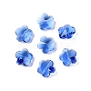 Transparent Glass Beads GLAA-Q066-14mm-C08-1