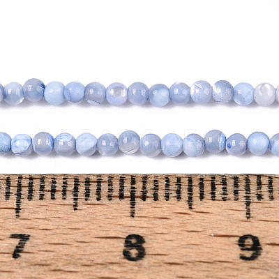 Dyed Natural Trochid Shell/Trochus Shell Beads Strands SSHEL-T017-13A-1