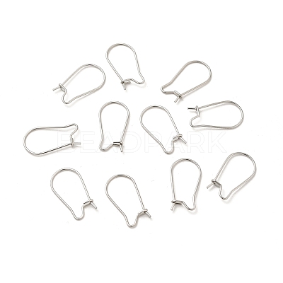 Tarnish Resistant 316 Surgical Stainless Steel Hoop Earrings Findings Kidney Ear Wires X-STAS-E009-6-1