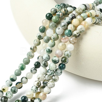 Natural Tree Agate Beads Strands G-K194-6mm-02-1