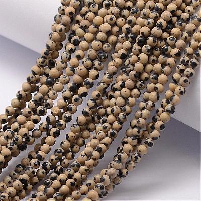 Natural Dalmatian Jasper Bead Strands G-K146-28-3mm-1