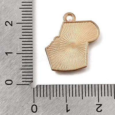 Alloy with Enamel Pendants AL-CBA9E11-03KCG-03-1