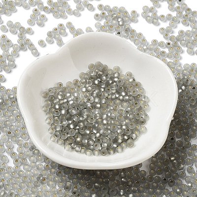 8/0 Glass Seed Beads SEED-Z001-C-E13-1