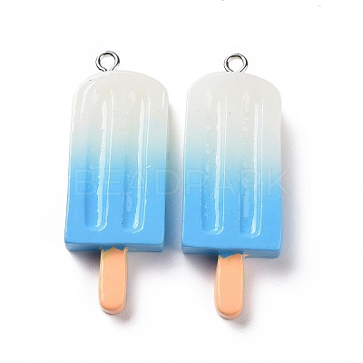Gradient Color Resin Imitation Food Pendants RESI-H144-11-1