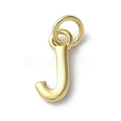 Rack Plating Brass Charms KK-P245-06G-J-1