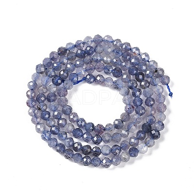 Natural Iolite Beads Strands X-G-N342-32-1