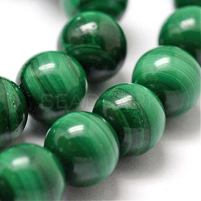 Grade A Natural Malachite Bead Strands G-O143-10-8mm-1