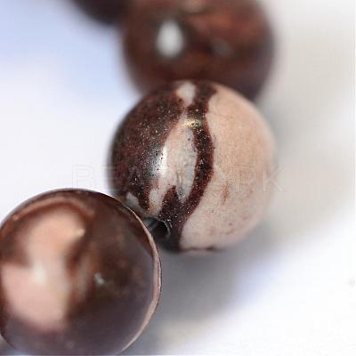 Natural Zebra Jasper Round Bead Strands G-E334-4mm-12-1