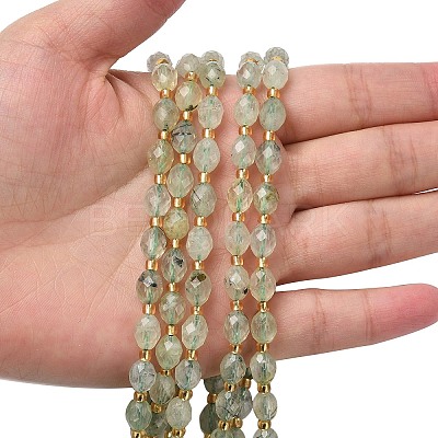 Natural Prehnite Beads Strands G-F809-A06-01-1