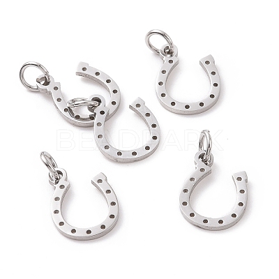 Tarnish Resistant 304 Stainless Steel Charms LS-STAS-S105-T519S-1