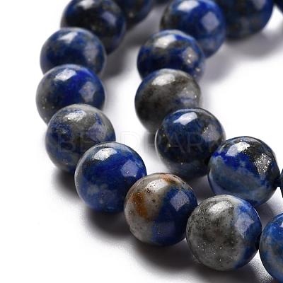 Natural Lapis Lazuli Bead Strands G-G953-02-8mm-1