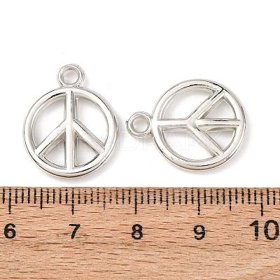 CCB Plastic Pendants CCB-I006-08P-1