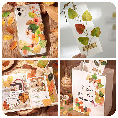 Autumn Leaf Paper Tape Stickers for Card Making DIY-TAC0032-23A-1
