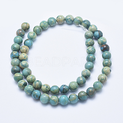 Natural Aqua Terra Jasper Beads Strands G-E444-14A-8mm-1
