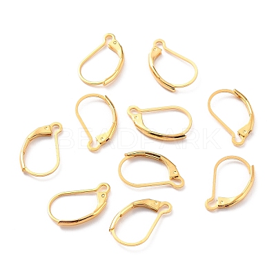304 Stainless Steel Leverback Earring Findings LS-STAS-K233-04G-1