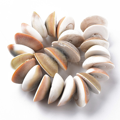 Natural Shell Beads Strands SSHEL-N034-101-1