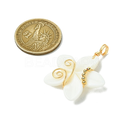 Natural Carved Freshwater Shell Pendants PALLOY-JF03391-1