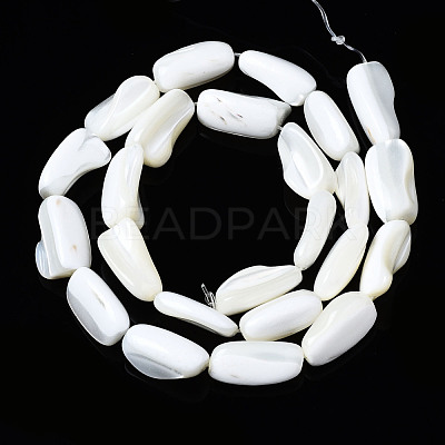 Natural Trochid Shell/Trochus Shell Beads Strands SSHEL-S266-014A-1