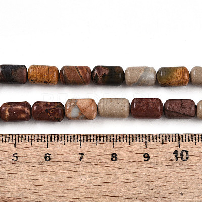 Natural Picasso Jasper/Polychrome Jasper Beads Strands G-N346-01B-05-1