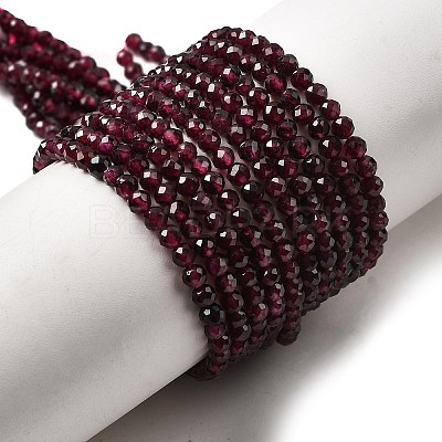Natural Garnet Beads Strands X-G-I341-09B-01-1