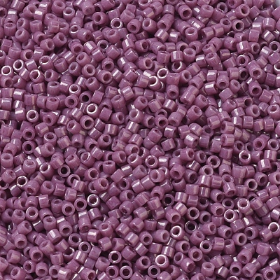 MIYUKI Delica Beads X-SEED-J020-DB0265-1