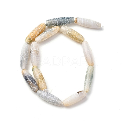 Natural Weathered Agate Beads Strands G-P570-C02-01-1