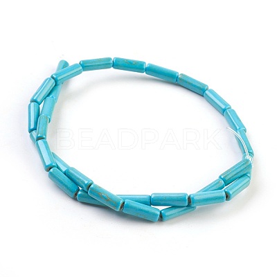 Synthetic Turquoise Beads Strands TURQ-G120-4x13mm-15-1