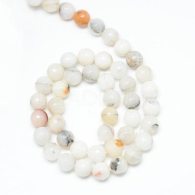 Natural Agate Bead Strands G-R346-8mm-26-1