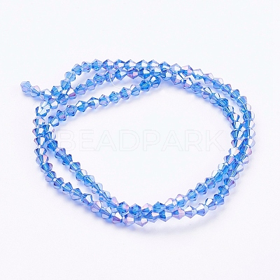 Glass Beads Strands EGLA-S056-M-1