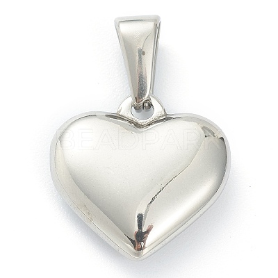 304 Stainless Steel Pendants LS-STAS-P278-01C-P-1