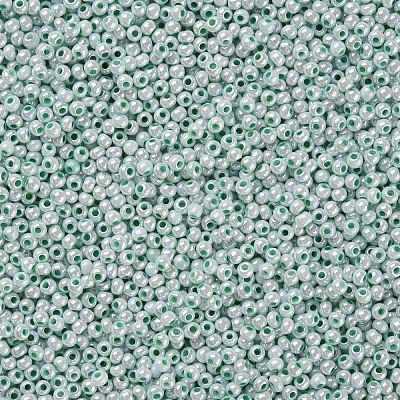 11/0 FGB Grade A Ceylon Glass Seed Beads X-SEED-N001-B-0487-1
