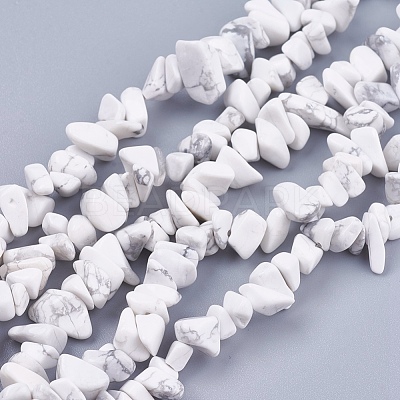 Natural Howlite Stone Bead Strands G-R192-15-1