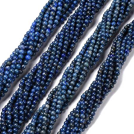 Natural Lapis Lazuli Beads Strands G-K311-14A-2-1