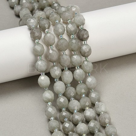 Natural Malaysia Jade Beads Strands G-D305-A01-01D-1