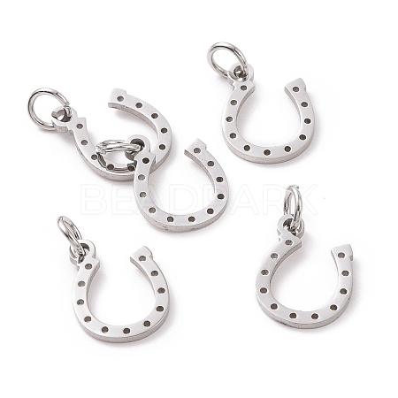 Tarnish Resistant 304 Stainless Steel Charms LS-STAS-S105-T519S-1