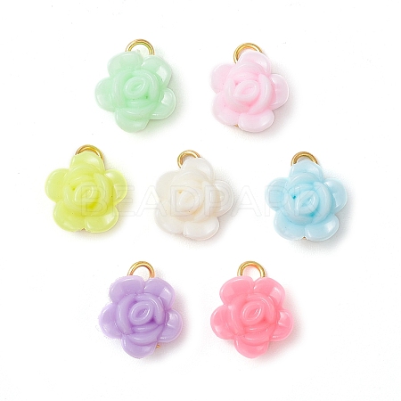 Opaque Acrylic Pendants PALLOY-JF03305-02-1