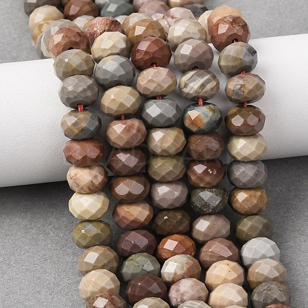 Natural Alashan Agate Beads Strands G-B179-A03-6x8mm-1
