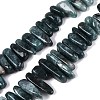 Dyed Natural Quartz Beads Strands G-Q606-24A-01-1