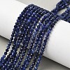 Natural Sodalite Beads Strands X-G-L622-C04-3mm-1