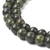Natural Serpentine/Green Lace Stone Beads Strands G-S259-15-6mm-1-3