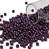 TOHO 6/0 Round Beads X-SEED-TR06-0704-1