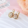 Flat Round 201 Stainless Steel Natural Shell Leverback Earrings FS-WG6391F-03-1