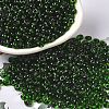 Transparent Colours Glass Seed Beads SEED-P006-02A-01-1