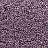 TOHO Round Seed Beads X-SEED-TR11-0554-2