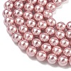 Electroplated Shell Pearl Beads Strands X-BSHE-G041-6mm-05-3