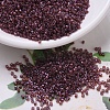MIYUKI Delica Beads Small SEED-X0054-DBS0129-1